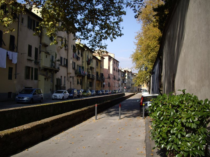 lucques rue04.jpg